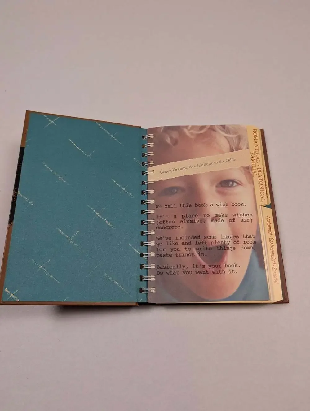A Wish Book by Stacie Chaiken and Alexis Genya Spiral-Bound Journal